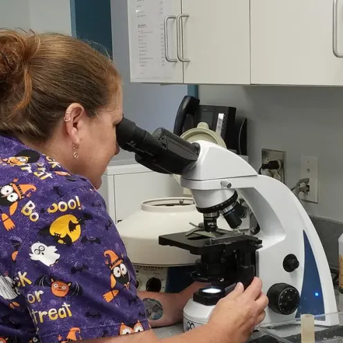 Woman looking through microscope